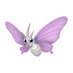 Venomoth